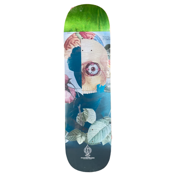 Pylon Guest Series 8.625