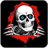 Powell-Peralta 12 inch Sticker