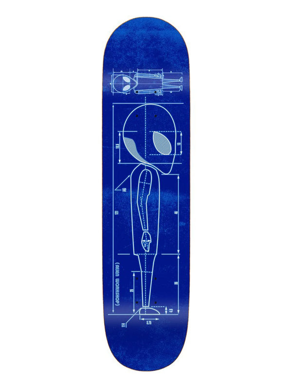 Alien Workshop Blueprint 8.75